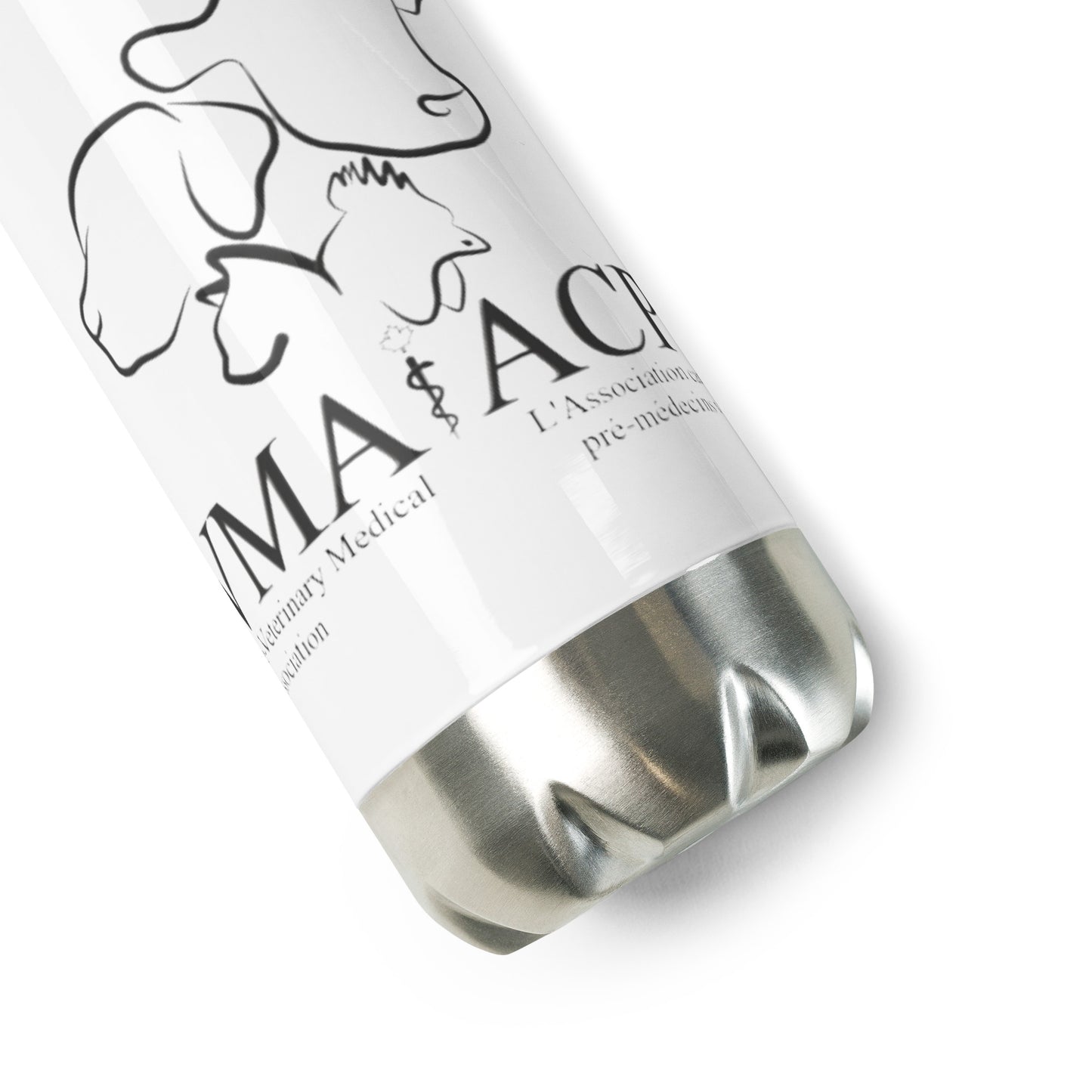 Stainless Steel Water Bottle