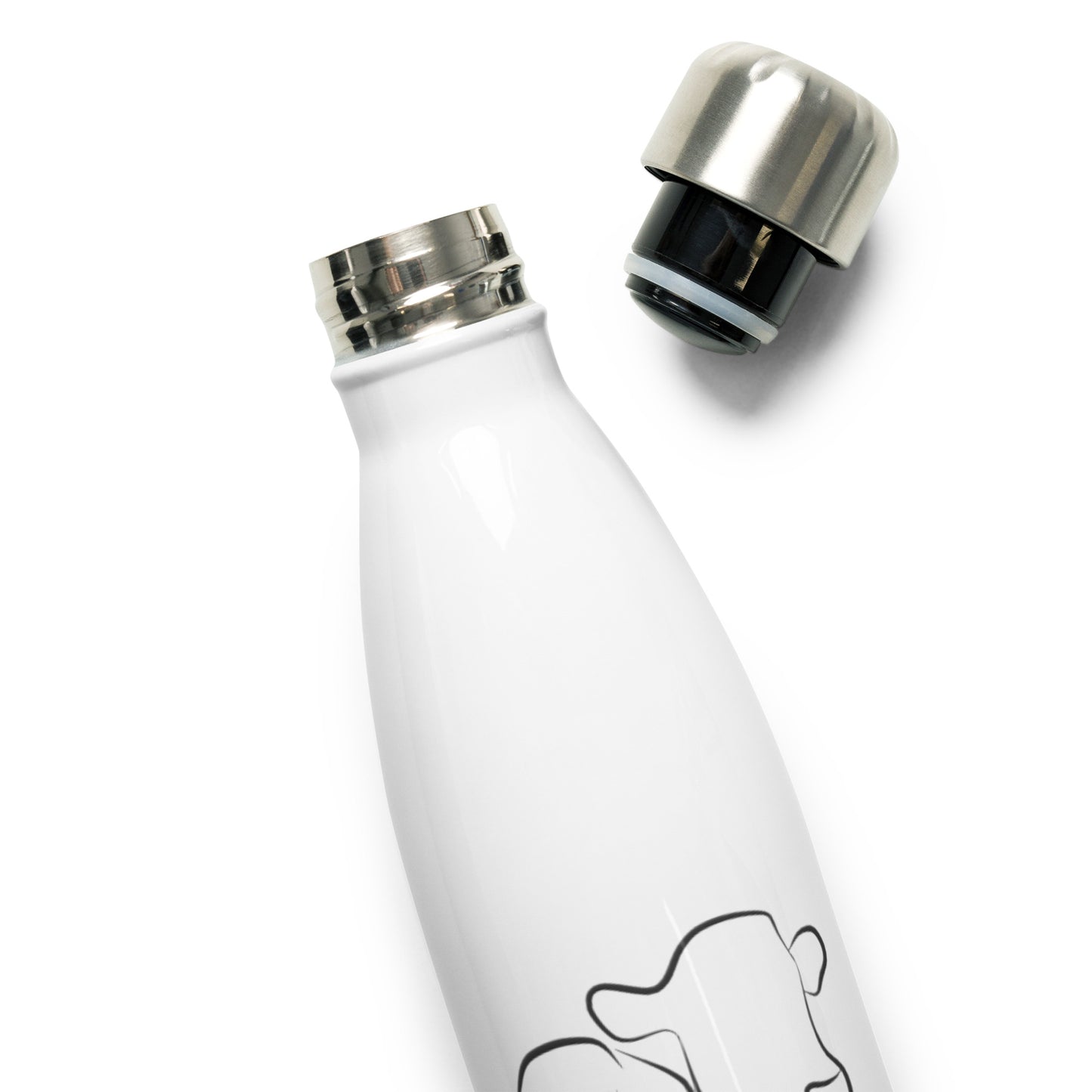 Stainless Steel Water Bottle